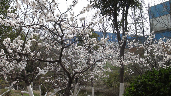 ̫�O�²����O�乫˾�S�^���Ә��_�M�˻�