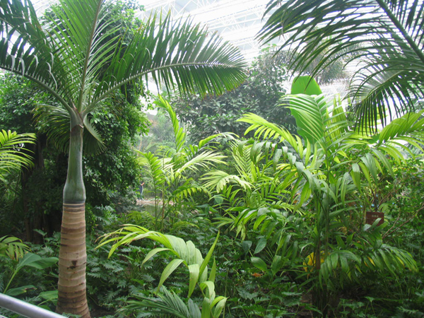 太極搪玻璃設備公司