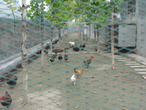 太極搪玻璃設備公司